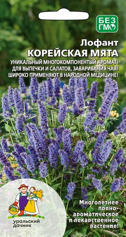 Лофант Корейская мята (УД) 0,1 гр цв п