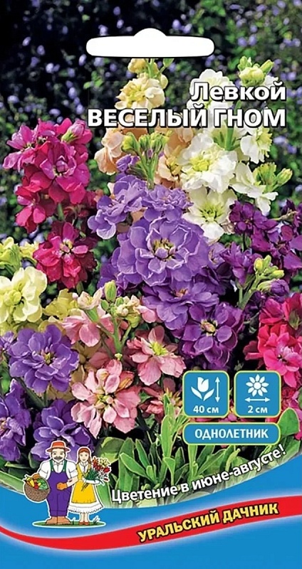 Левкой Веселый гном (УД) 0,1 гр цв п