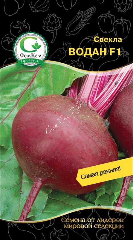 Свекла Водан F1 (Bejo Zaden) 1г цв.п.