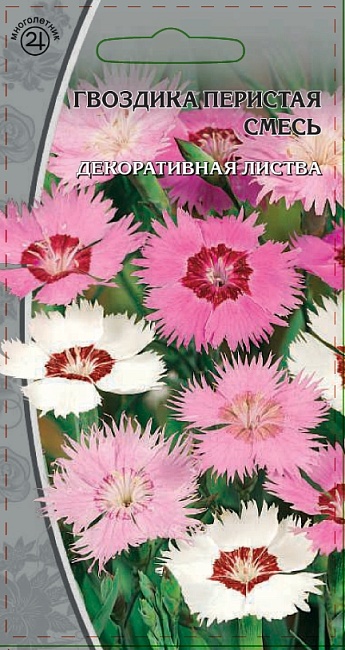 Гвоздика Перистая смесь 0,5 гр