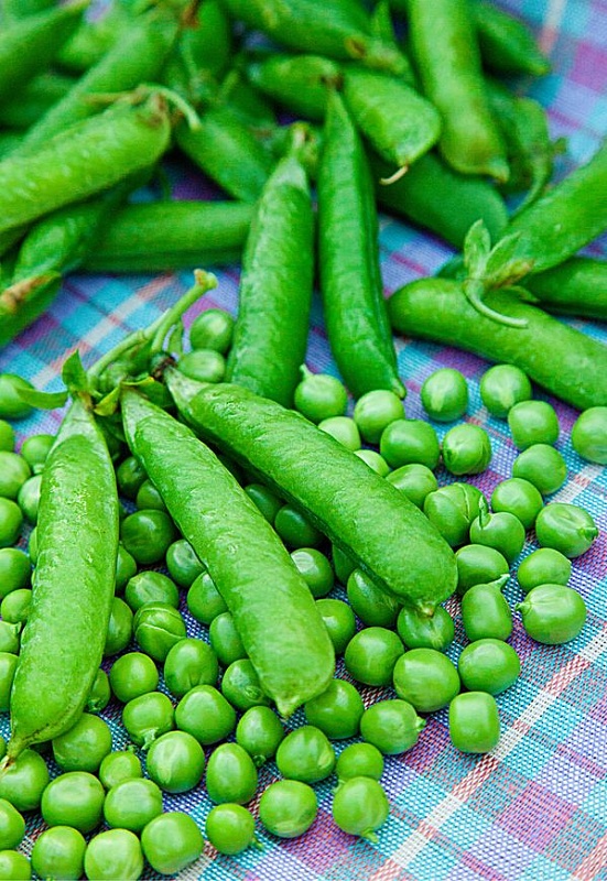 Горох Адагумский овощной 10 гр б.п.