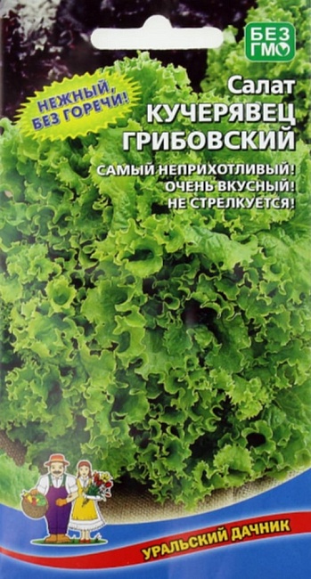 Салат Кучерявец Грибовский (УД) 0,25 гр цв.п