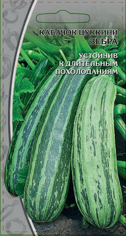 Кабачок Цукини Зебра 1 гр  цв.п