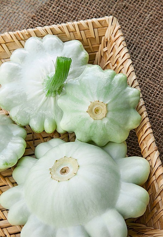 Патиссон Белые 13 2 гр б.п