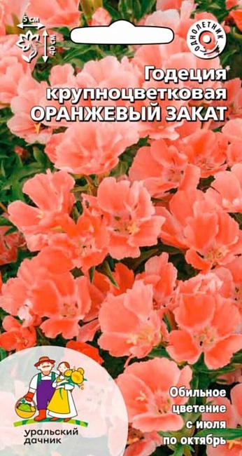 Годеция крупноцветковая Оранжевый закат (УД) 0,1 гр цв п