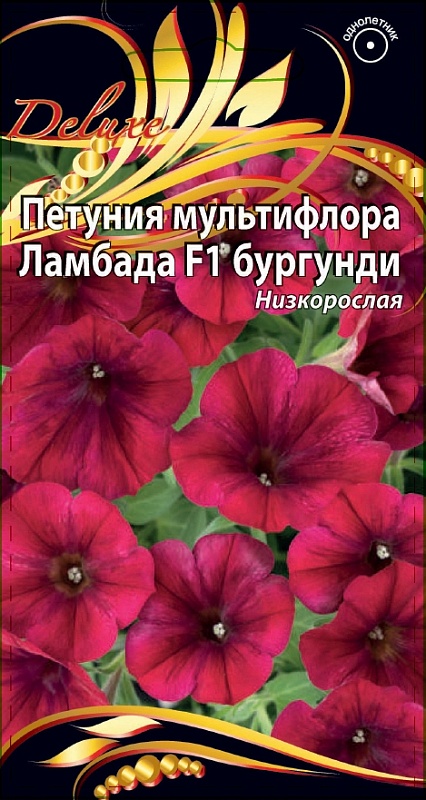 Петуния Ламбада бургунди 10 шт