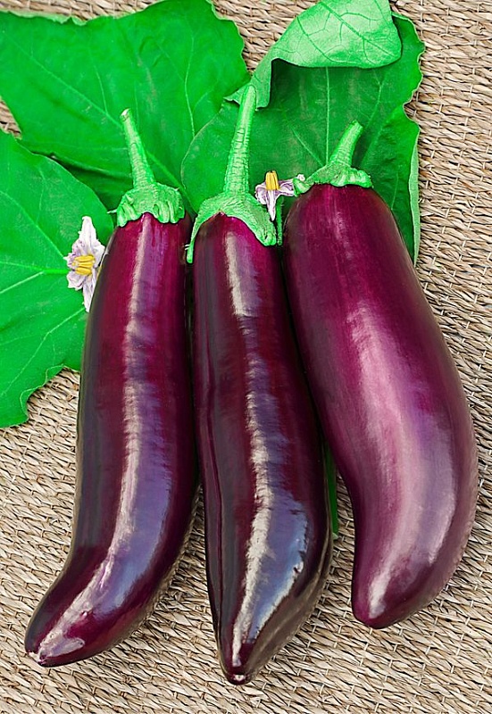 Баклажан Алмазный 0,1 гр цв.п