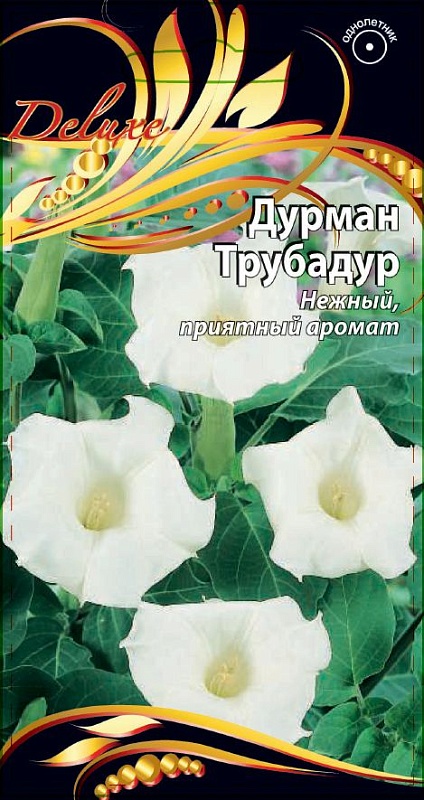 Дурман Трубадур  4 шт