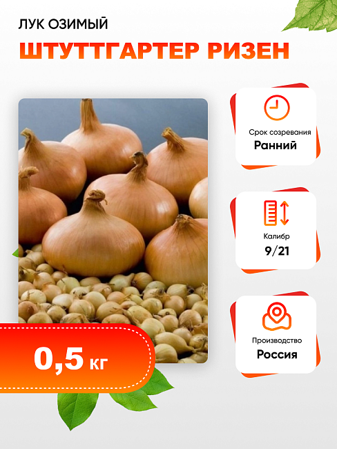 Лук озимый Штуттгартер ризен (калибр 9/14) 0,5 кг 
