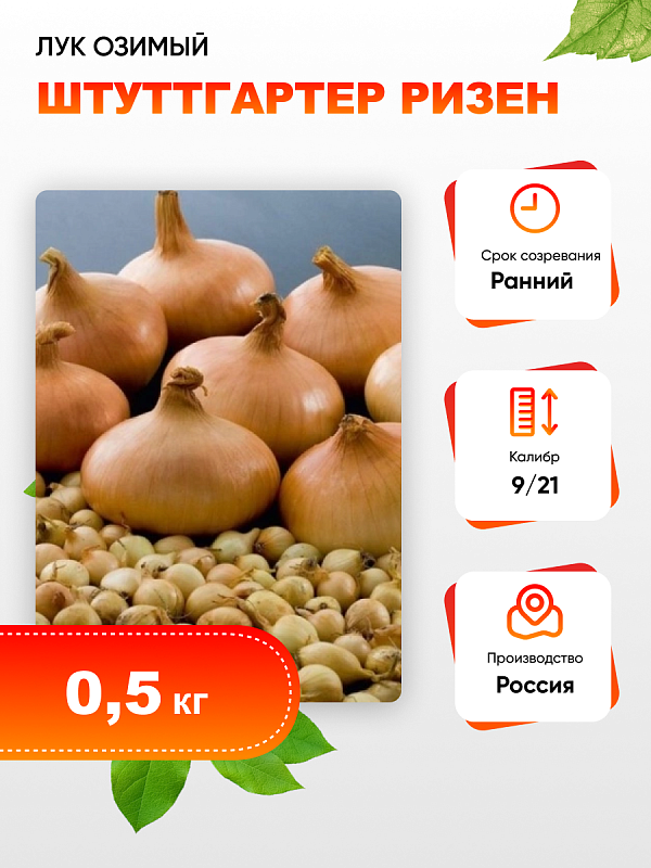 Лук озимый Штуттгартер ризен (калибр 9/14) 0,5 кг 