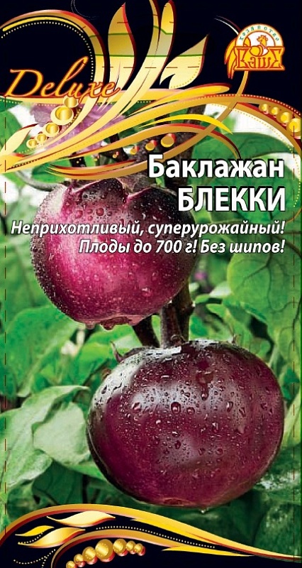 Баклажан Блекки (Селекция "ВХ") 0,1 гр. цв.п.