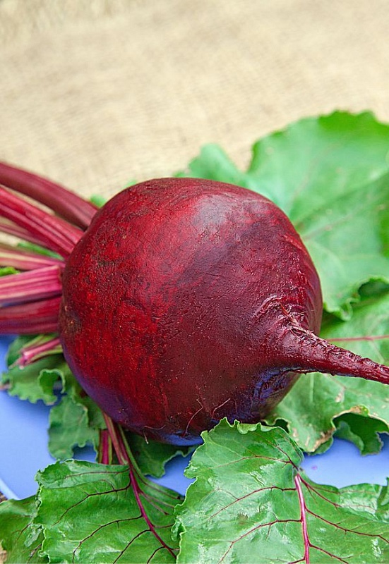 Свекла Червона Кула 2 гр б.п