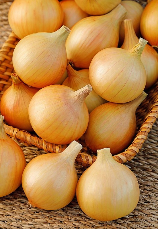 Лук репчатый Экстерн (Селекция "ВХ") 1гр цв.п