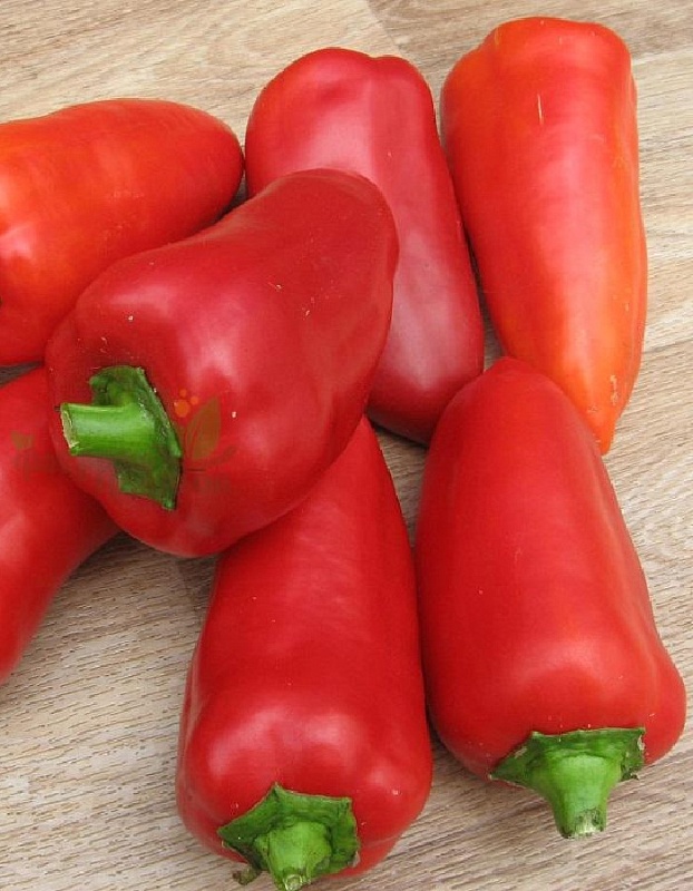 Перец сладкий Винни-Пух 0,1 гр цв.п