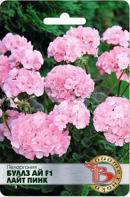 Пеларгония Буллз Ай F1 Лайт Пинк 5 шт
