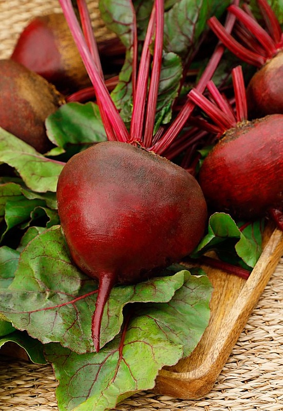 Свекла Одноростковая 2 гр б.п