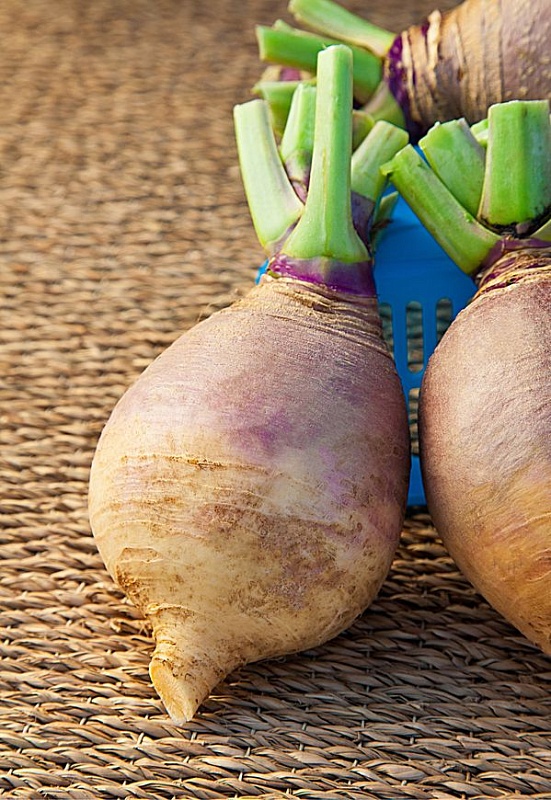 Брюква Красносельская  0,5 гр  ц.п.