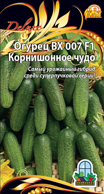 Огурец ВХ 007 F1(Корнишонное чудо)  (Селекция "ВХ") 0,25 гр цв.п.