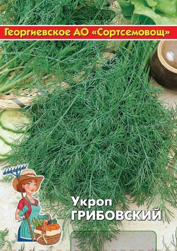 Укроп Грибовский 10 гр цв.п (Сортсемовощ)