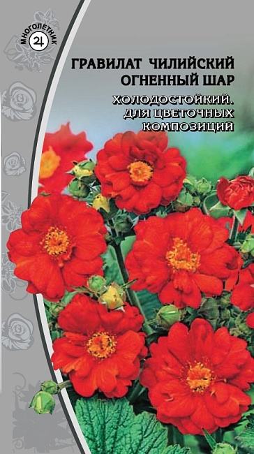 Гравилат чилийский Огненный шар  0,1 гр