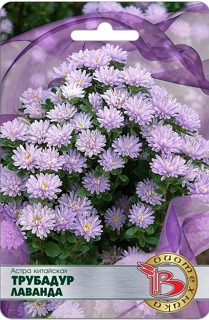 Астра Трубадур Лаванда 20 шт