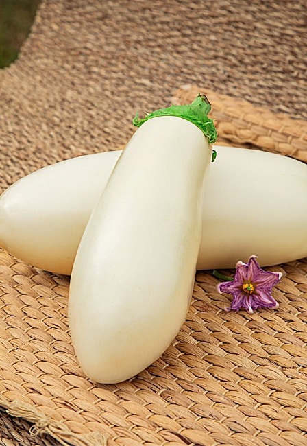 Баклажан Белый рыцарь F1 (Селекция "ВХ") 0,1 гр цв.п.