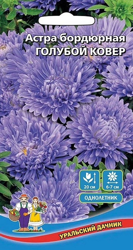 Астра бордюрная Голубой ковер (УД) 0,2 гр цв п