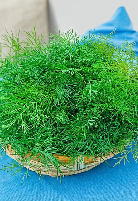 Укроп Геркулес 2 гр б.п