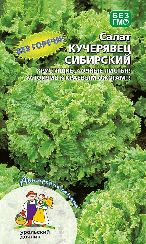 Салат Кучерявец сибирский (УД) 0,3 гр цв.п 