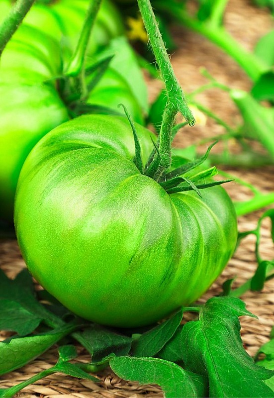 Томат Сибирский конфитюр (Сибирский киви) F1 0,1 гр цв.п.