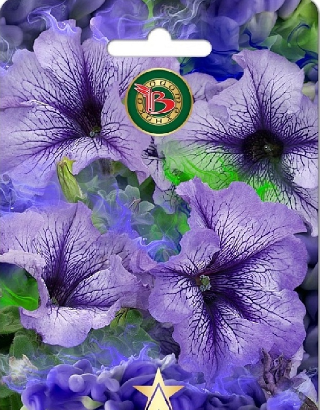 Петуния Пентальфа F1 Блюберри Крем 15 шт