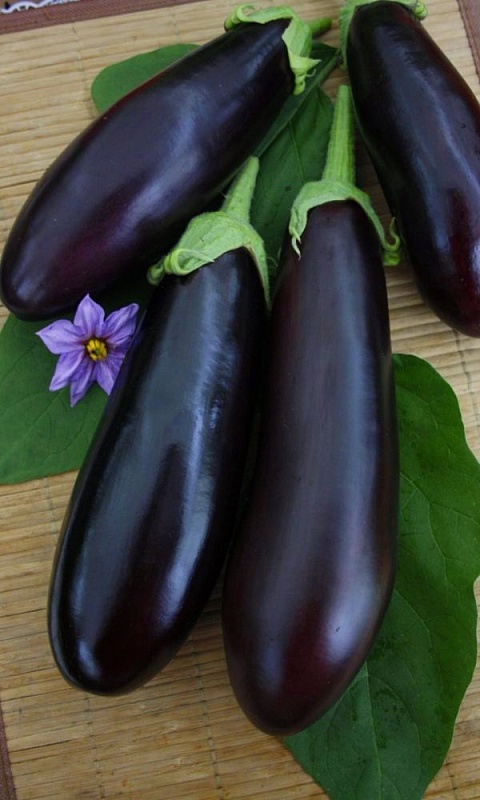 Баклажан Боярин F1 (УД)10 шт цв.п.