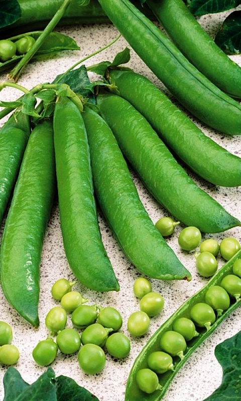 Горох Орегон Шуга (УД) 8 гр цв.п.