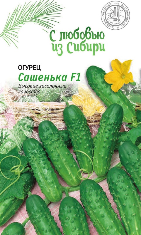 Огурец Сашенька F1 0,25г цв.п (Сибирская серия)