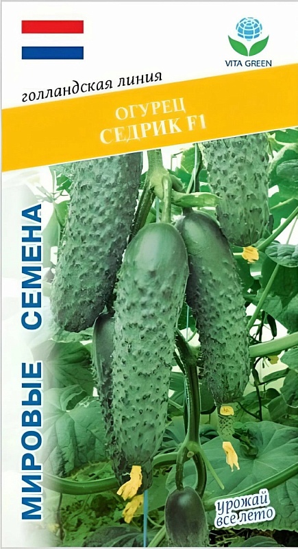 Огурец Седрик F1 (Enza Zaden) 7шт цв.п.