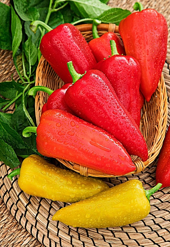 Перец сладкий Винни-Пух 0,1 гр цв.п