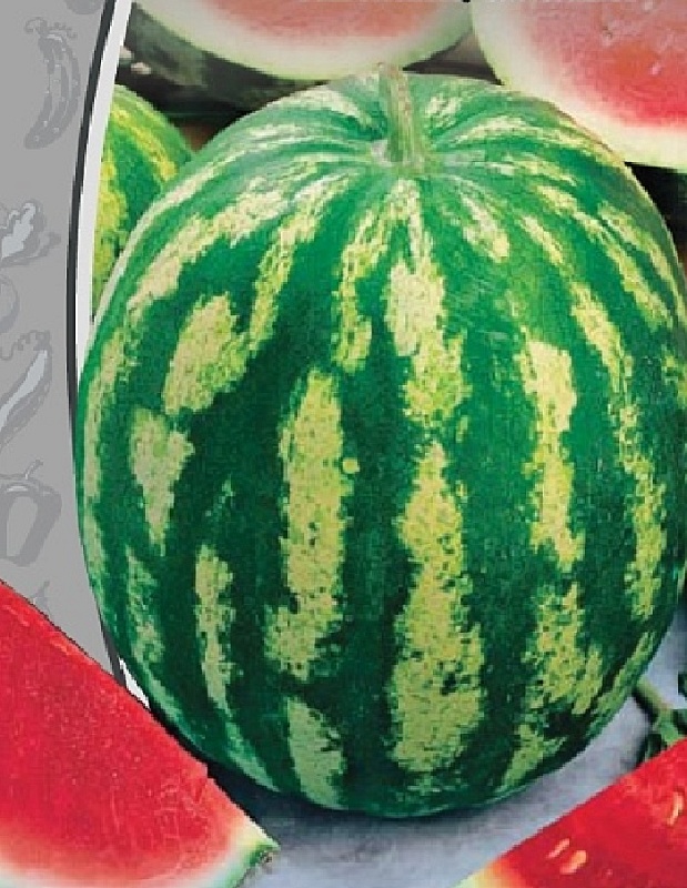 Арбуз Фотон 1 гр б.п.