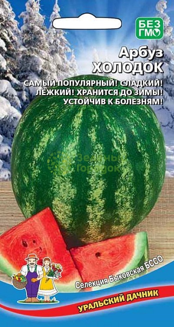 Арбуз Холодок (УД) 10 шт цв п