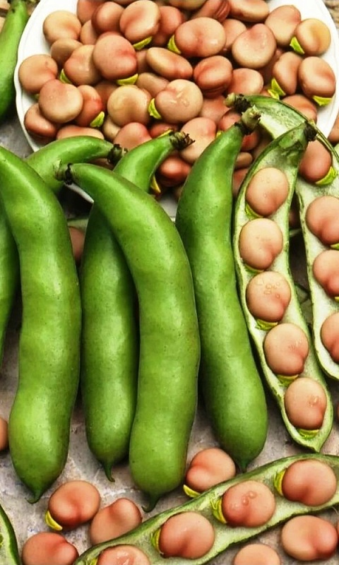 Бобы Русский деликатес (УД) 6 шт. цв.п.