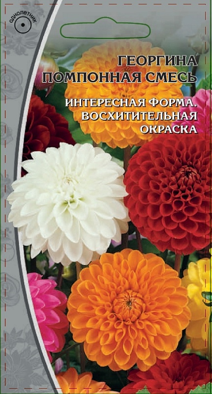 Георгина Помпонная смесь  0,2 гр
