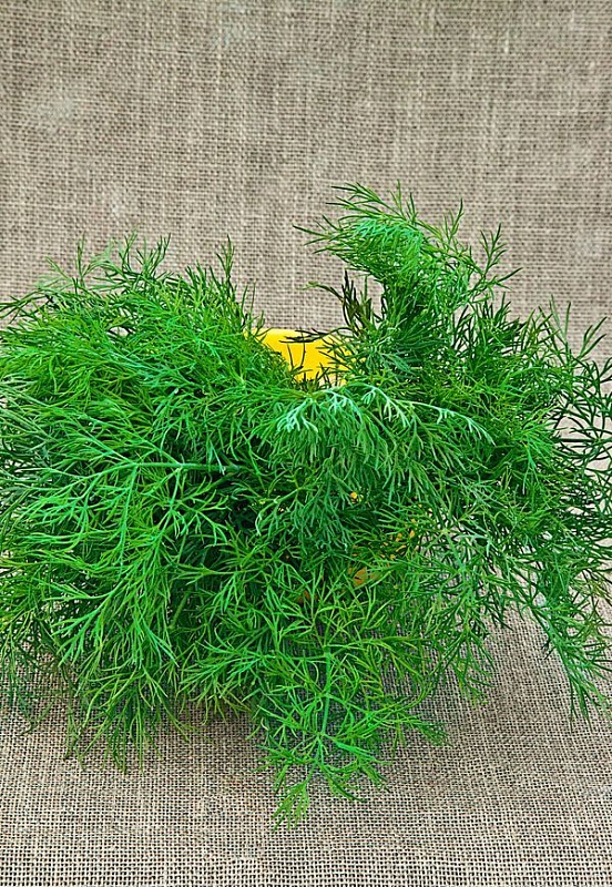 Укроп Лесногородский 2 гр б.п