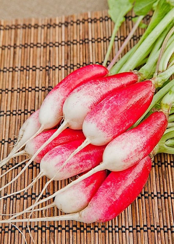 Редис 18 дней  3 г б.п.