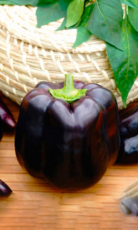 Перец сладкий Гигант Черный F1 (УД) 20 шт. цв.п.