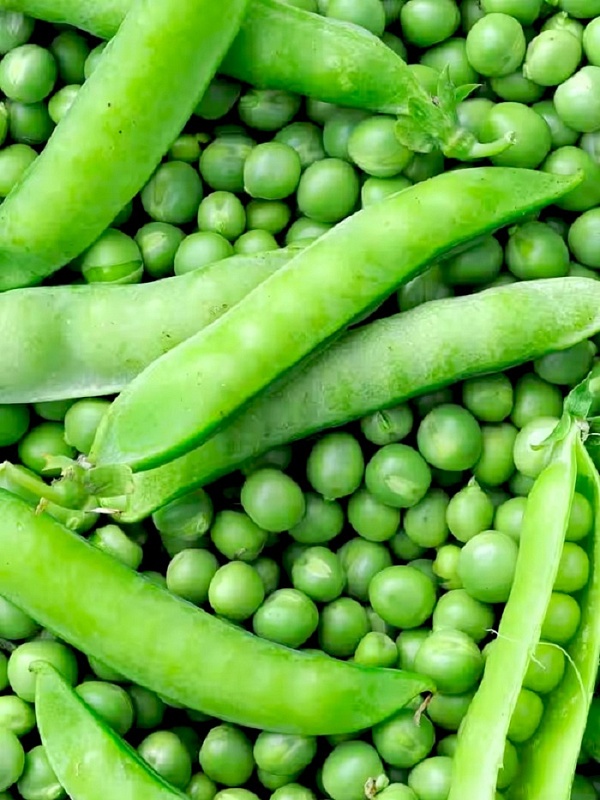 Горох Смесь лучших сахарных сортов - овощной (УД) 5 гр цв.п.