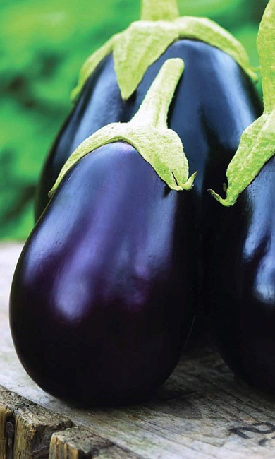 Баклажан Бардовский Фестиваль F1 (Функциональное питание) 0,1 гр цв.п.