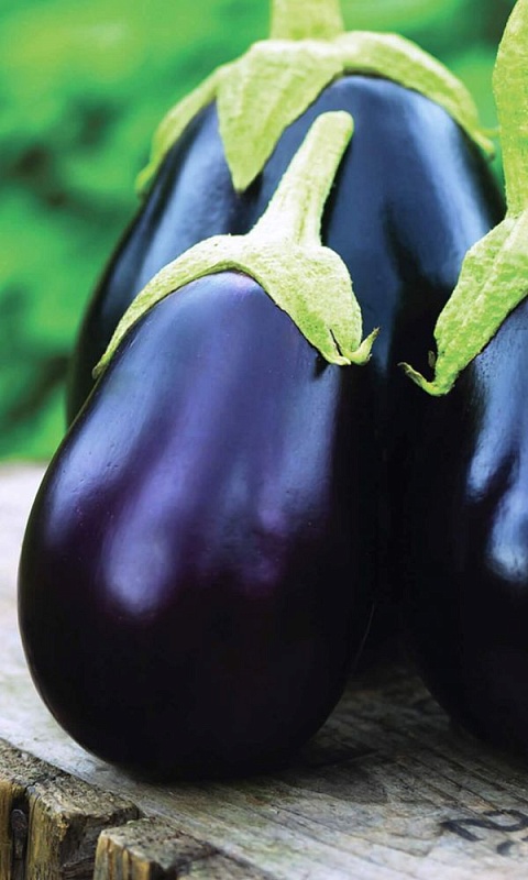 Баклажан Бардовский Фестиваль F1 (Функциональное питание) 0,1 гр цв.п.