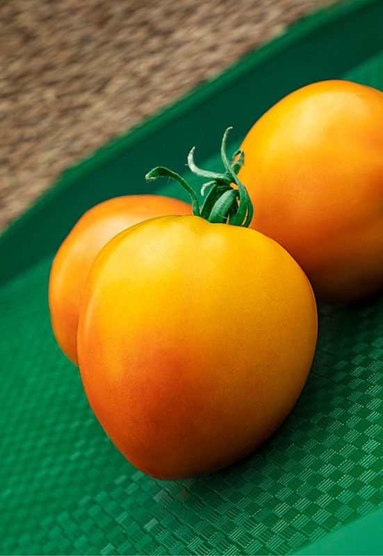 Томат Оранжевое сердце 0,03 гр цв.п