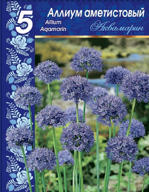 Лук голубой Аквамарин (Allium caeruleum Pall.) 1 уп. ( 5шт.) фракция 4/5