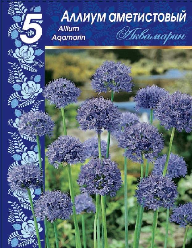 Лук голубой Аквамарин (Allium caeruleum Pall.) 1 уп. ( 5шт.)