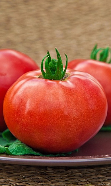 Томат Карнавал F1 (УД) 20шт цв.п